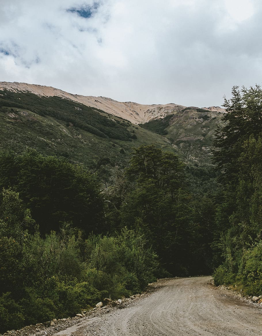 forest, road, mountain, trees, green, nature, wild, sky, landscape HD wallpaper