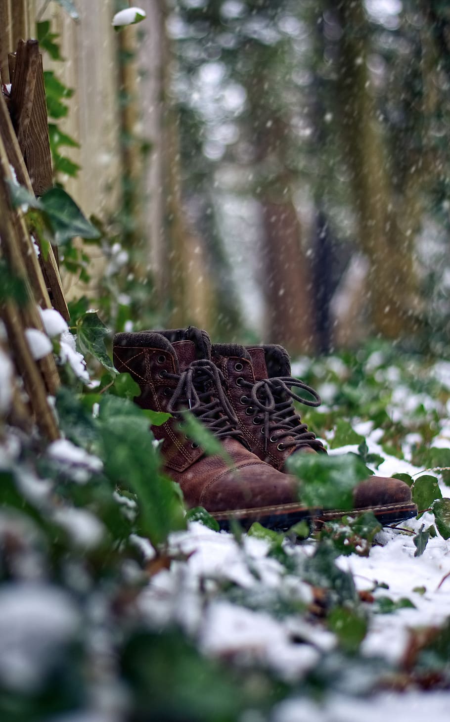 brown leather boots on grass, animal, animals in the wild, selective focus HD wallpaper