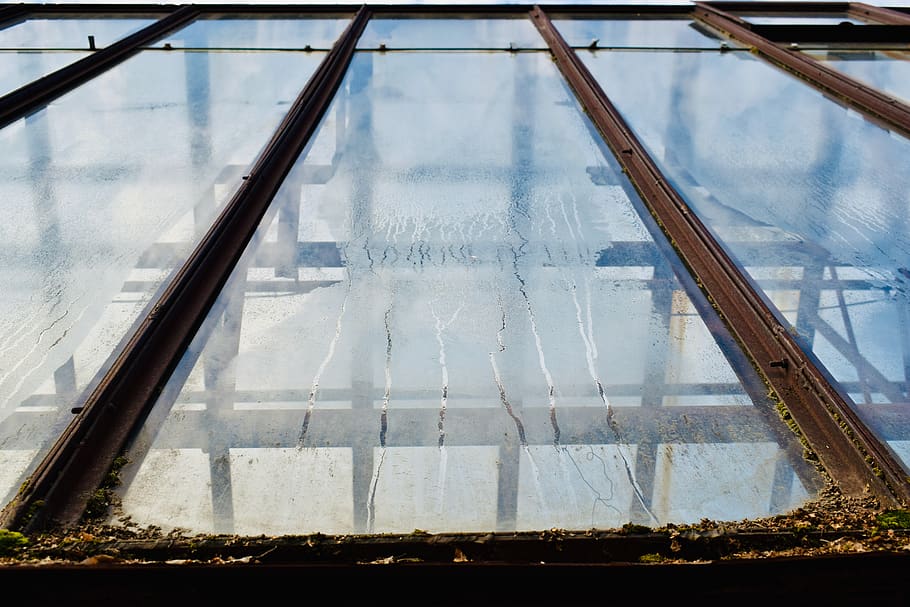 architecture, built structure, glass - material, transparent HD wallpaper