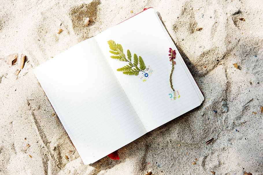 White Book on Brown Sand, art, card, craft, design, dirty, flower HD wallpaper