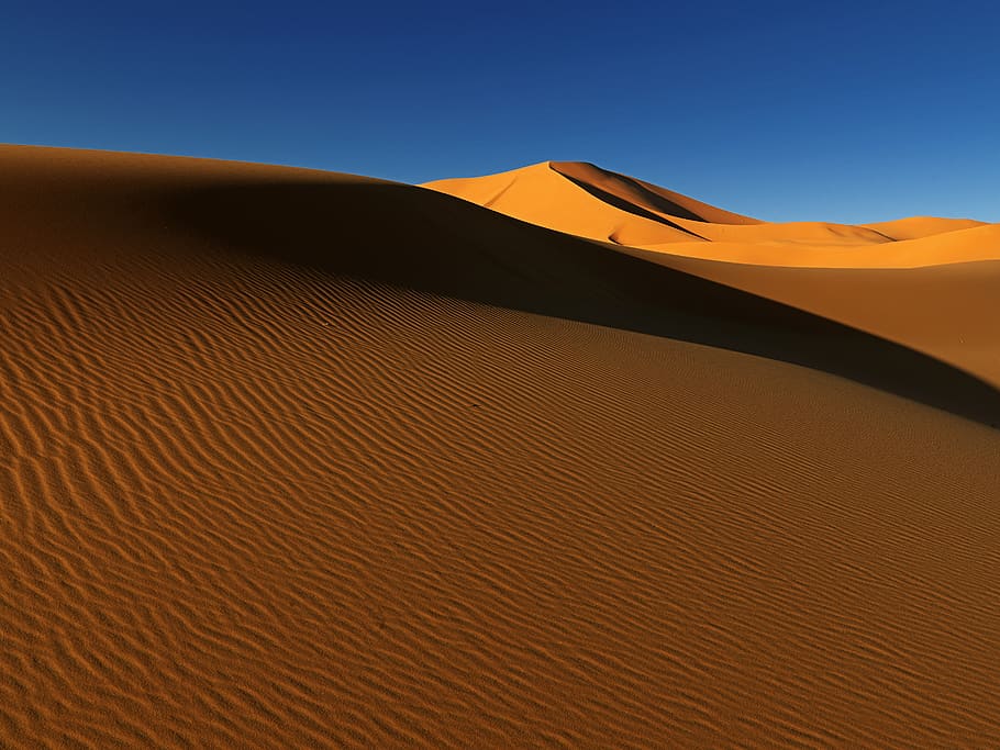 desert during daytime, sand dune, landscape, arid climate, scenics - nature HD wallpaper