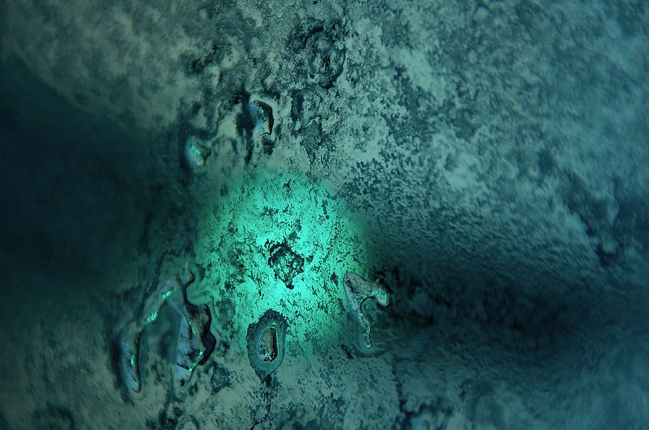 frost on window, green light, ice, iced window, winter, wintertime HD wallpaper