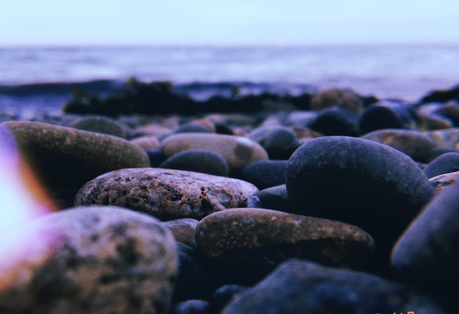 jersey, beach, close up, pebbles, stone, sea, focused, land HD wallpaper