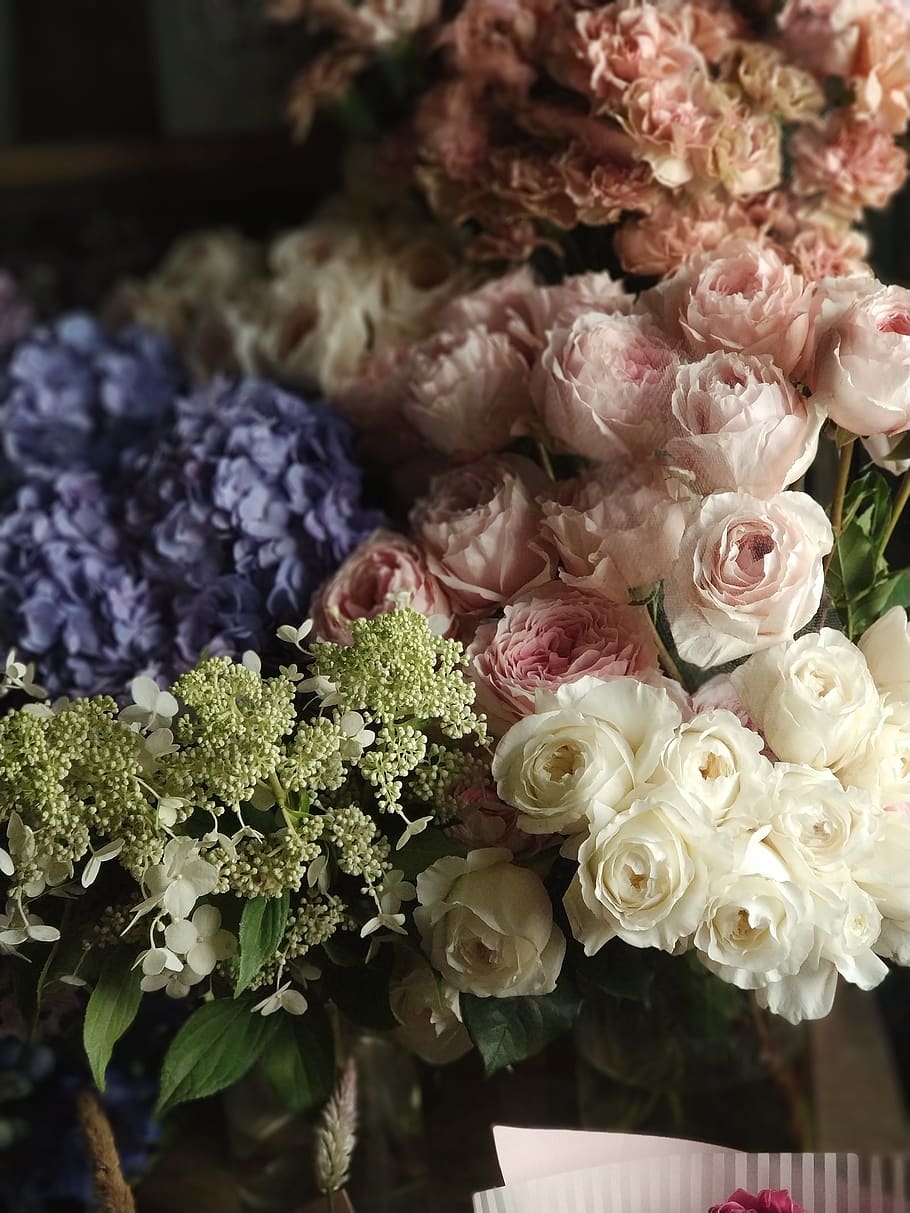assorted flowers, flowering plant, vulnerability, fragility, close-up HD wallpaper