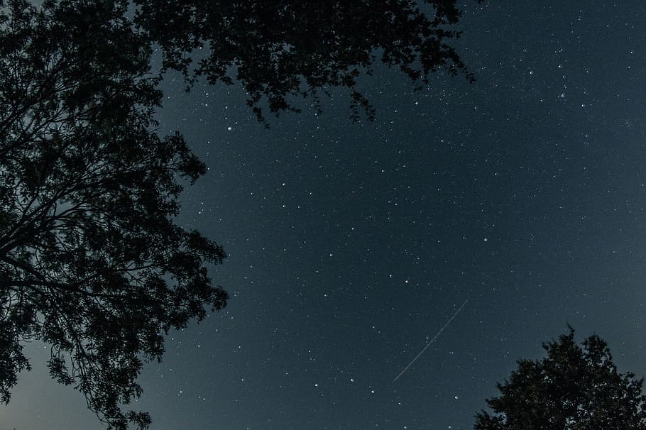 sky, night, clear, eve, dark, star, million, nature, star - space HD wallpaper