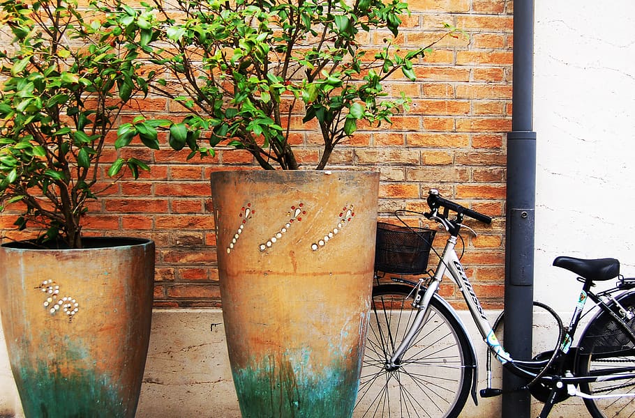 wall, bike, bicycle, transportation, land vehicle, plant, mode of transportation, HD wallpaper