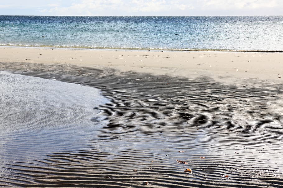 denmark, beach, sand, coast, coastline, water, waves, sandy HD wallpaper