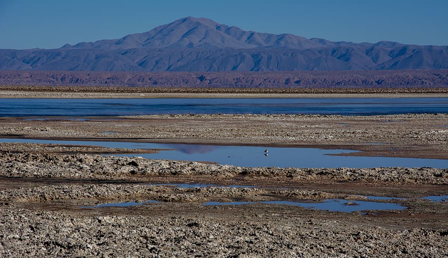 socaire, desert, chile, mountain, water, scenics - nature, tranquil scene HD wallpaper