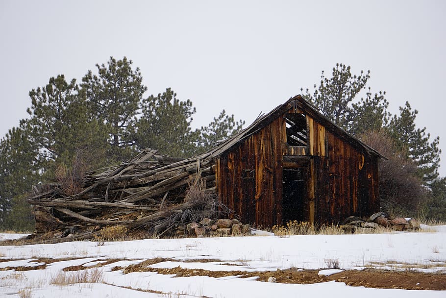 Brown Wooden Shed Near Green Trees, abandoned, barn, cabin, daylight HD wallpaper