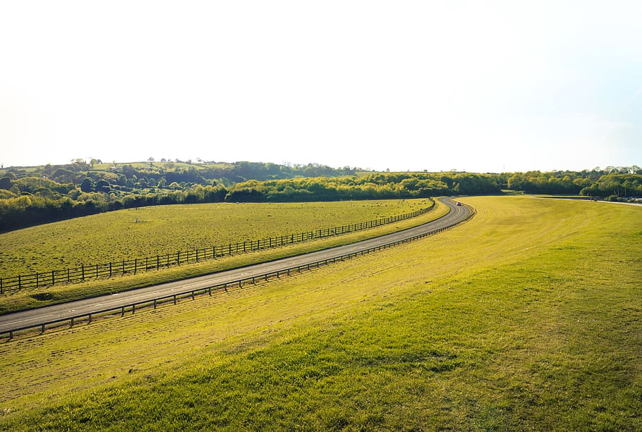 trees, road, car, green, gras, sky, summer, plant, field, land HD wallpaper