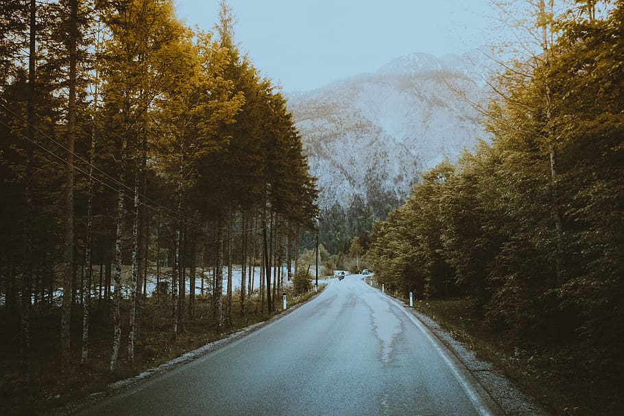 gray road between green leafed trees, dirt road, gravel, nature HD wallpaper