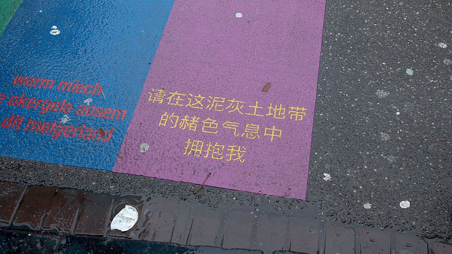 document, passport, id cards, text, paper, tarmac, asphalt HD wallpaper