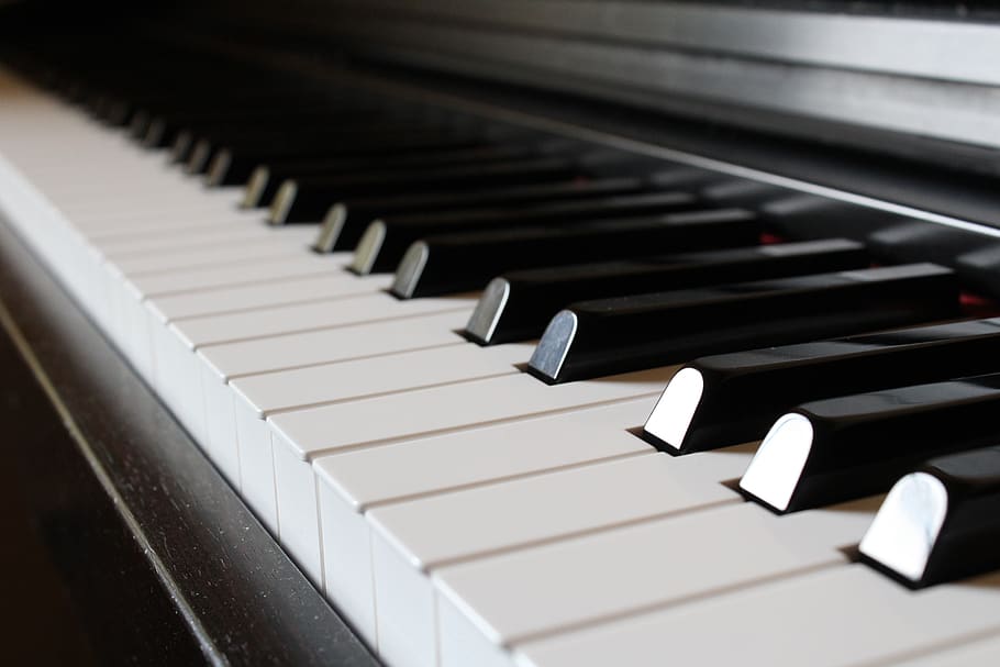 piano, ivory, ebony, synthesizer, sound, harmony, chord, instrument