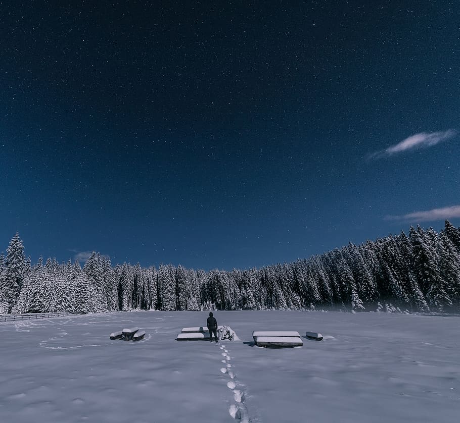 snow, winter, white, cold, weather, ice, people, man, alone HD wallpaper