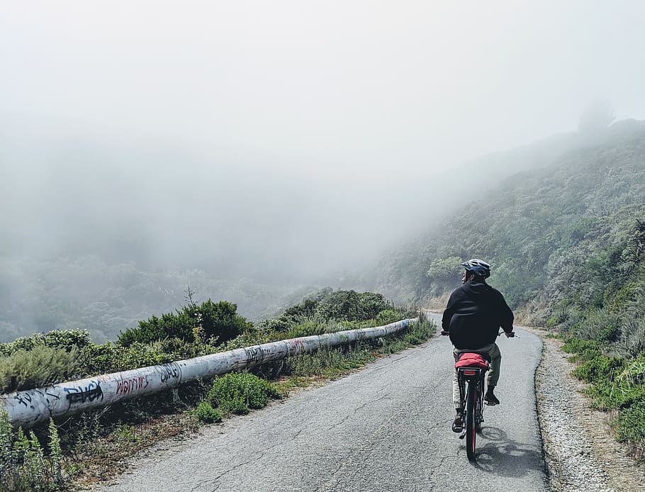 cyclist on road, transportation, bicycle, fog, rear view, real people HD wallpaper