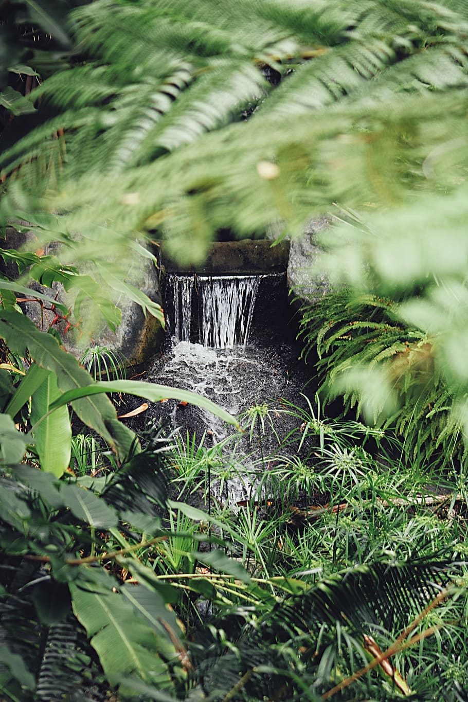 waterfall near trees, vegetation, plant, nature, outdoors, land HD wallpaper