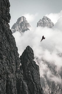 Bald Eagle on Flight Near Rock Formation, cliff, clouds, cold HD wallpaper