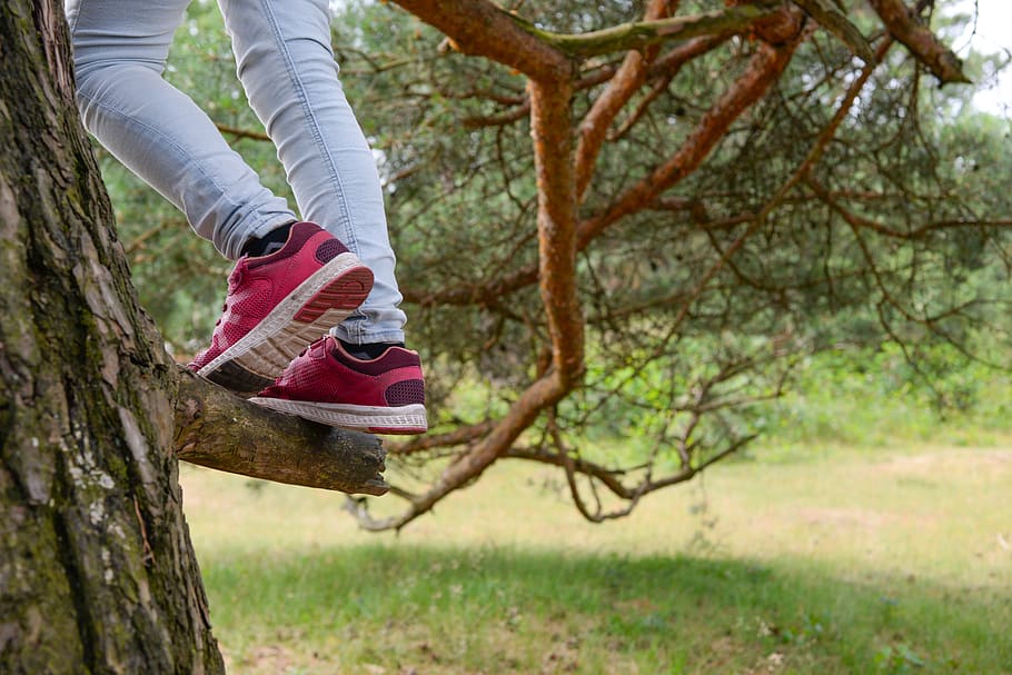 climbing, tree, human, trees, people, girl, forest, kid, child HD wallpaper