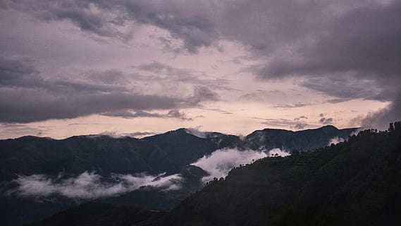 mountain covered with clouds, mist, fog, valley, sky, dark, nature HD wallpaper