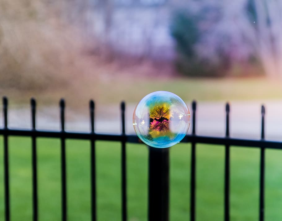 soap bubble, colourful, float, tree, reflection, yellow, blue HD wallpaper