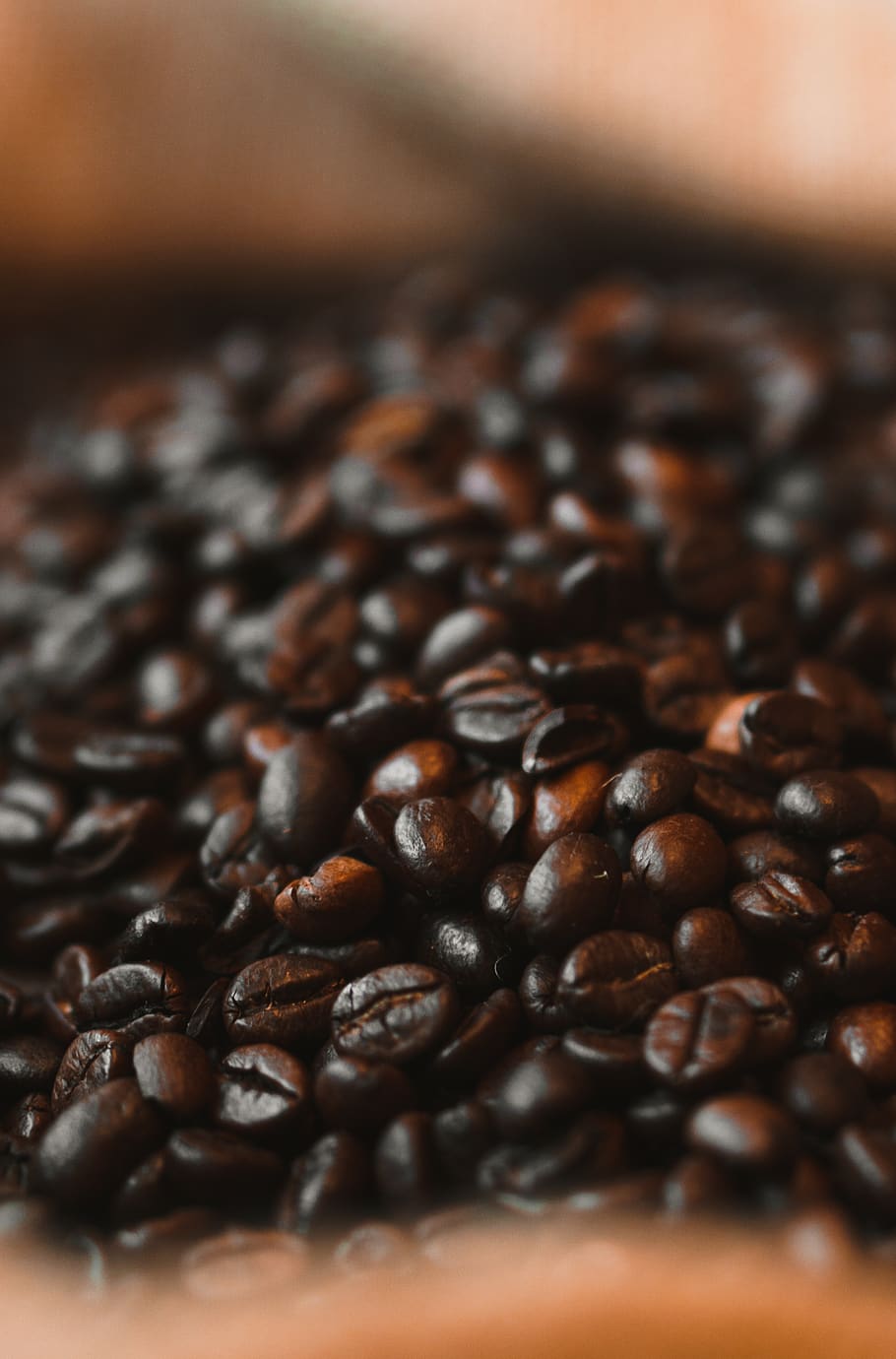 coffee, coffee grain, aroma, caffeine, roast, beans, cafe, brown HD wallpaper