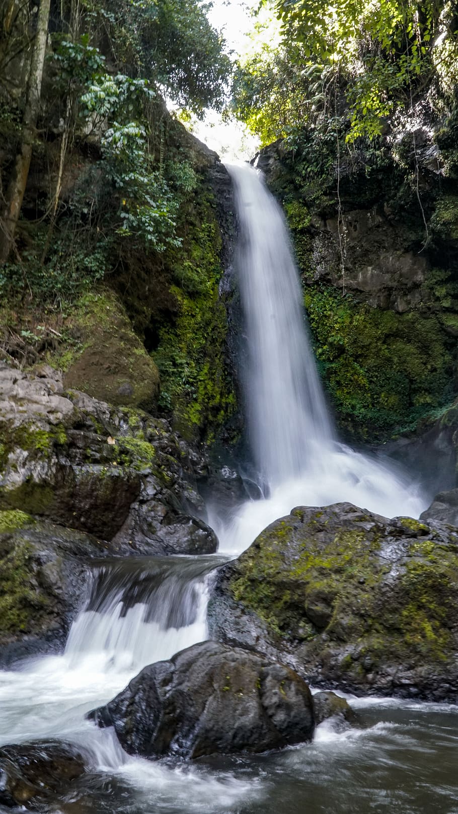water, motion, forest, scenics - nature, tree, beauty in nature HD wallpaper