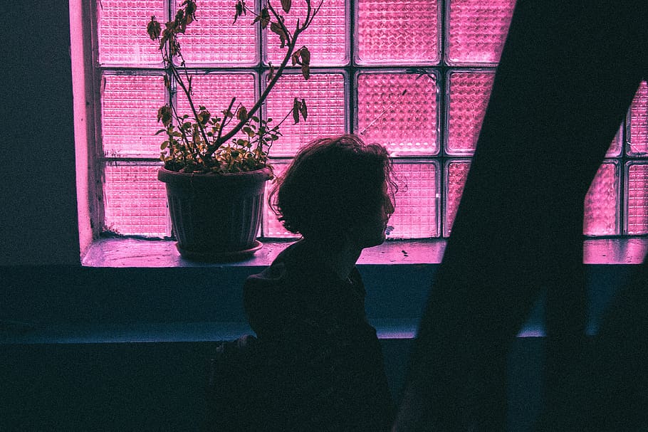 person, human, flare, light, window, building, architecture HD wallpaper