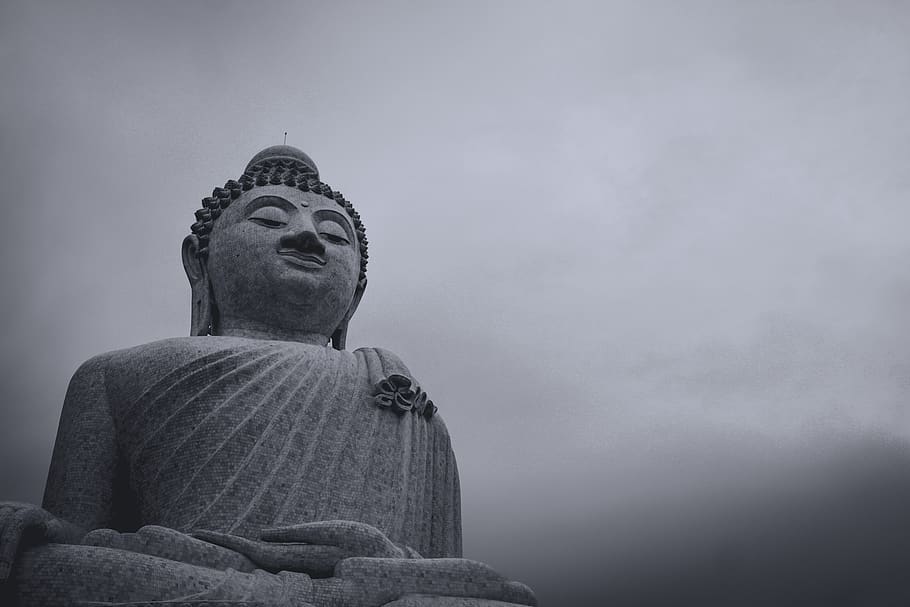 Gautama statue, buddha, worship, art, person, human, people, grey HD wallpaper