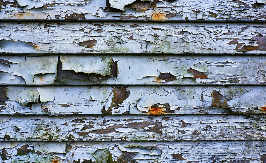 wood, plant, housing, building, rust, slate, bird, animal, lumber, HD wallpaper