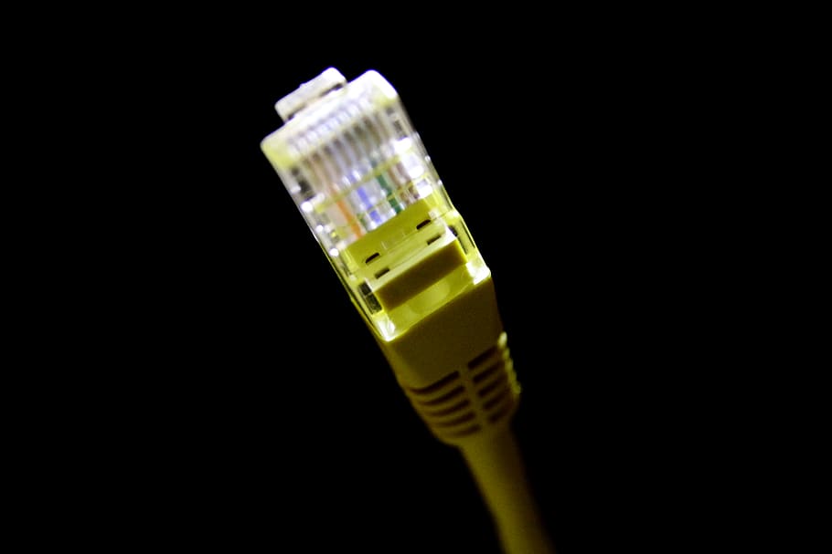 cable, network, pc, tech, computer cable, internet, network connection plug HD wallpaper