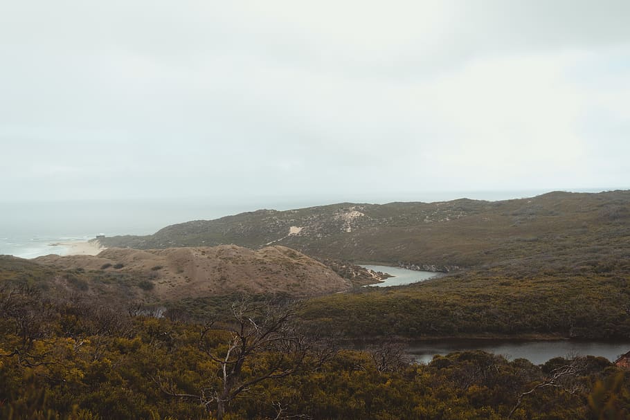 margaret river, ocean, green, hills, trees, western australia, HD wallpaper