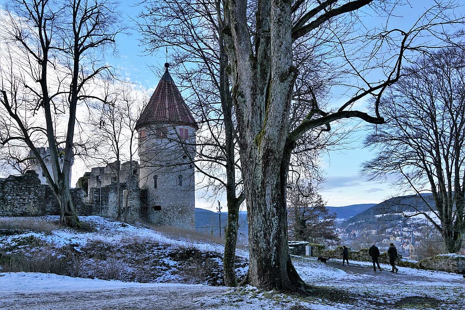 tree, winter, autumn, snow, season, castle, tuttlingen, germany