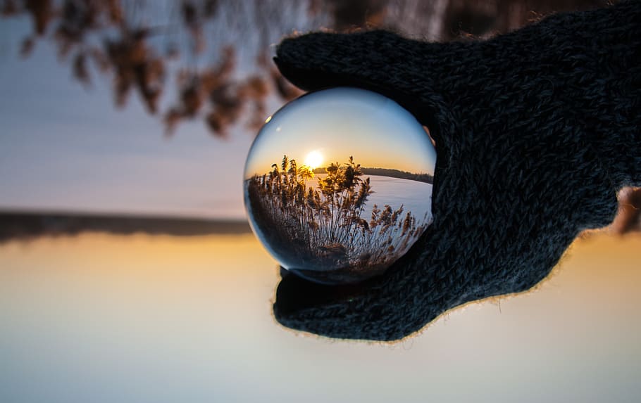 glass, gloves, cold, weather, trees, sunset, plants, hands HD wallpaper