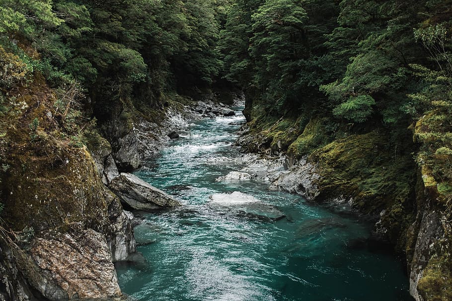 river surrounded by trees during daytime, water, outdoors, stream HD wallpaper