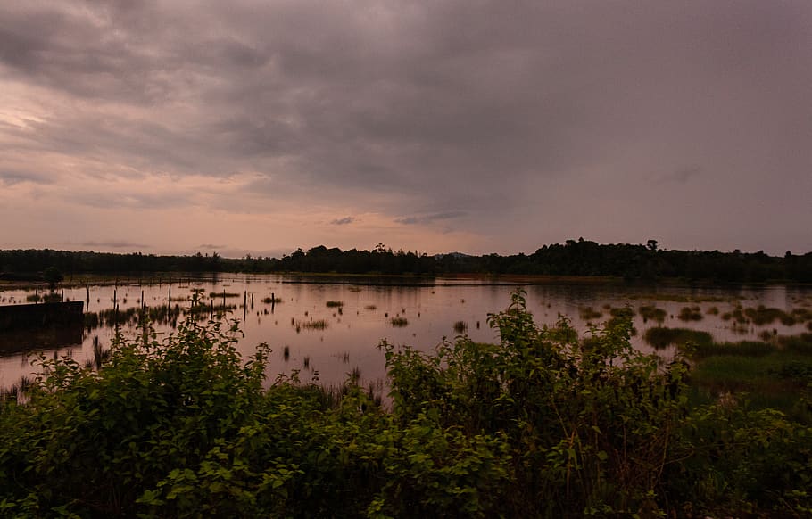 swamp, sunet, golden, reflection, clouds, cloudformation, sky HD wallpaper
