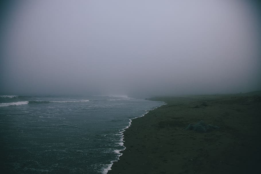 Grey coast