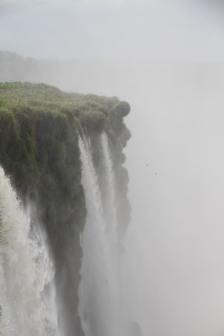 argentina, iguazu falls, argentina south, beautiful, birds, HD wallpaper