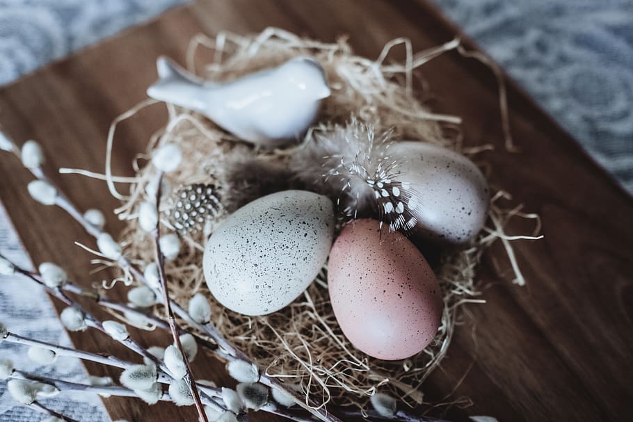 Photography of Three Quail Eggs on Nest Decor, blur, close-up, HD wallpaper