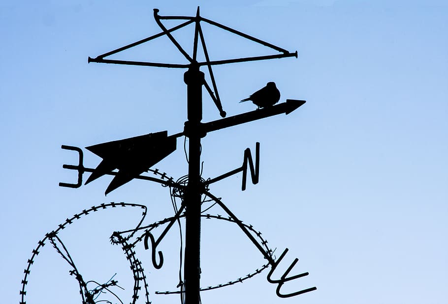 wind, bird, sky, birds, wing, dom, low angle view, communication HD wallpaper