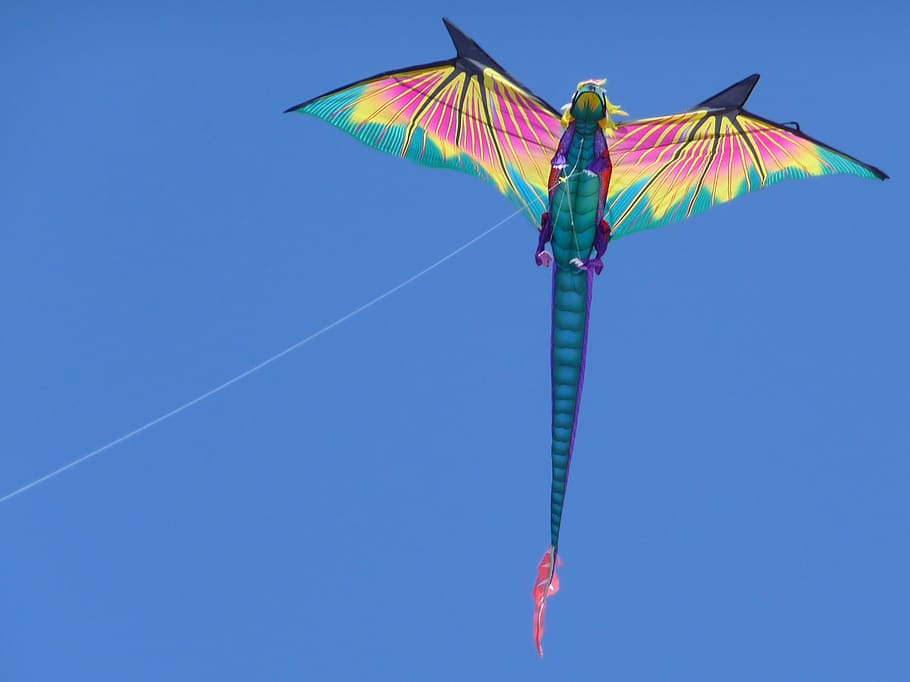 multi colored, sky, blue, clear sky, flying, motion, nature HD wallpaper