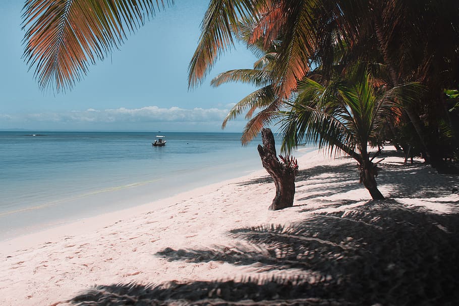 madagascar, palms, madagaskar, sand, beach, land, palmes, blue HD wallpaper