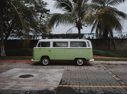 Green Volkswagen Transporter Van Parked Under Coconut Trees, automobile HD wallpaper