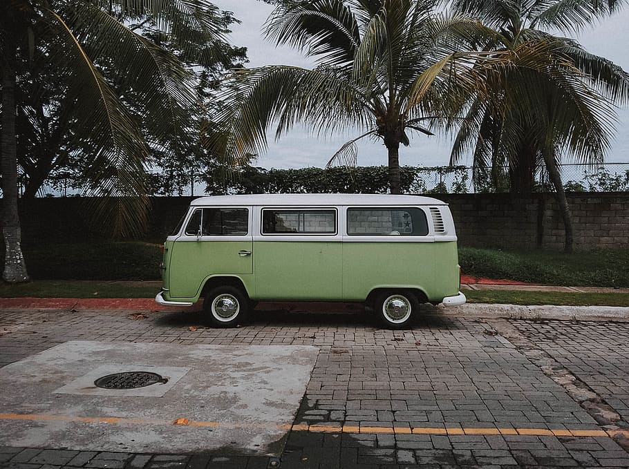 Green Volkswagen Transporter Van Parked Under Coconut Trees, automobile HD wallpaper