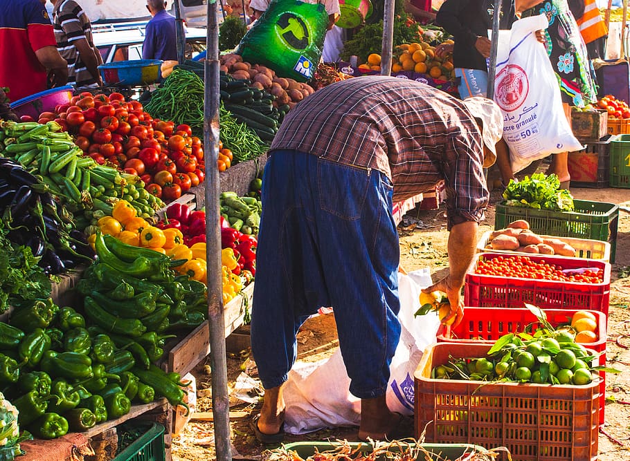 person surrounded by vegetables, food, food and drink, healthy eating HD wallpaper