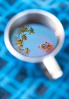 beverage, blue, bright, close-up, closeup, color, colorful HD wallpaper