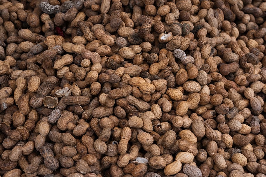 unshelled peanuts lot, food and drink, full frame, freshness, HD wallpaper