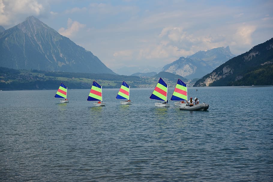 lake thun, optimists, sail, course, water, waterfront, mountain HD wallpaper