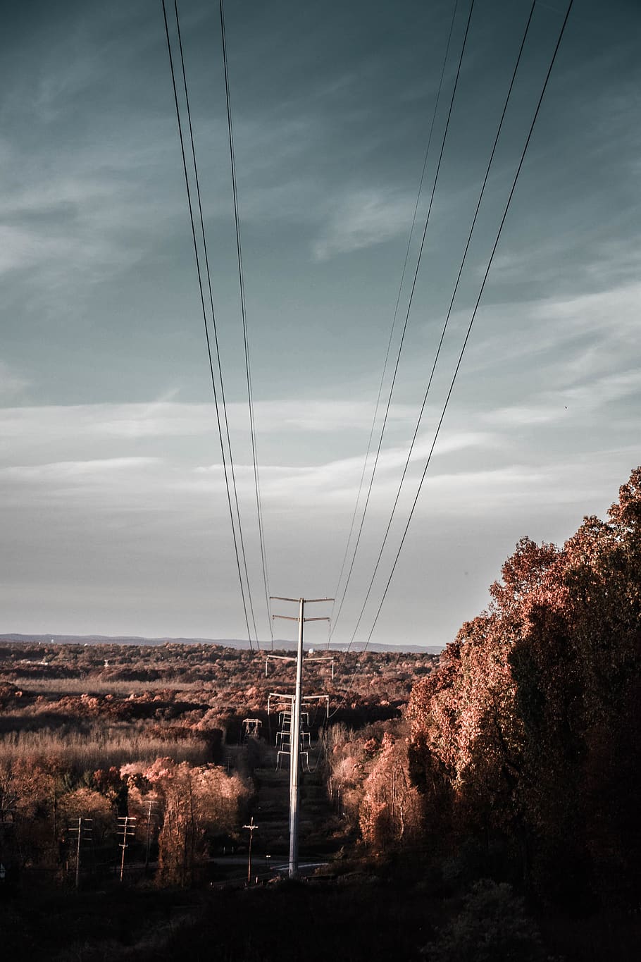 Utility Post Near Trees Under Cloudy Sky, cables, current, electric lines HD wallpaper