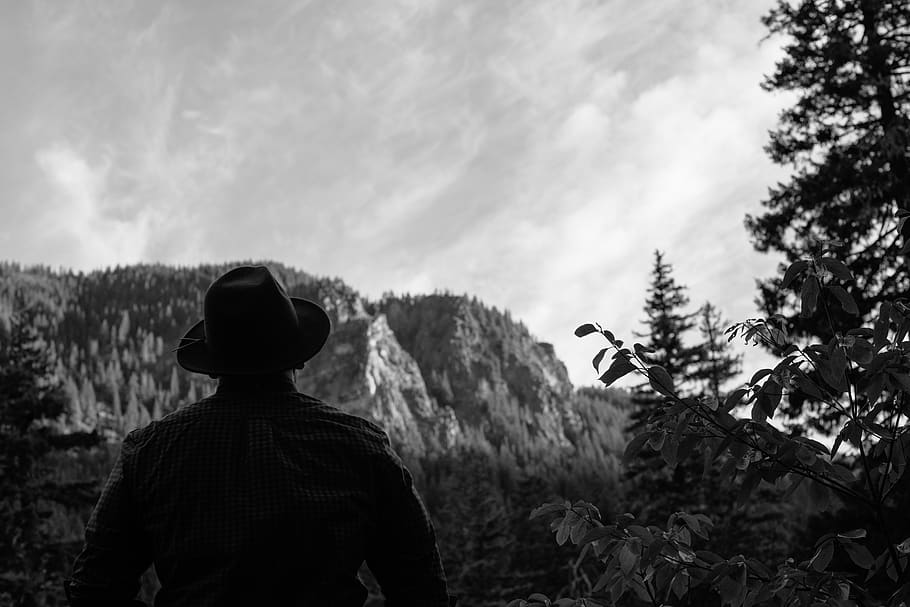watching, wondering, wandering, trees, mountains, outdoors HD wallpaper