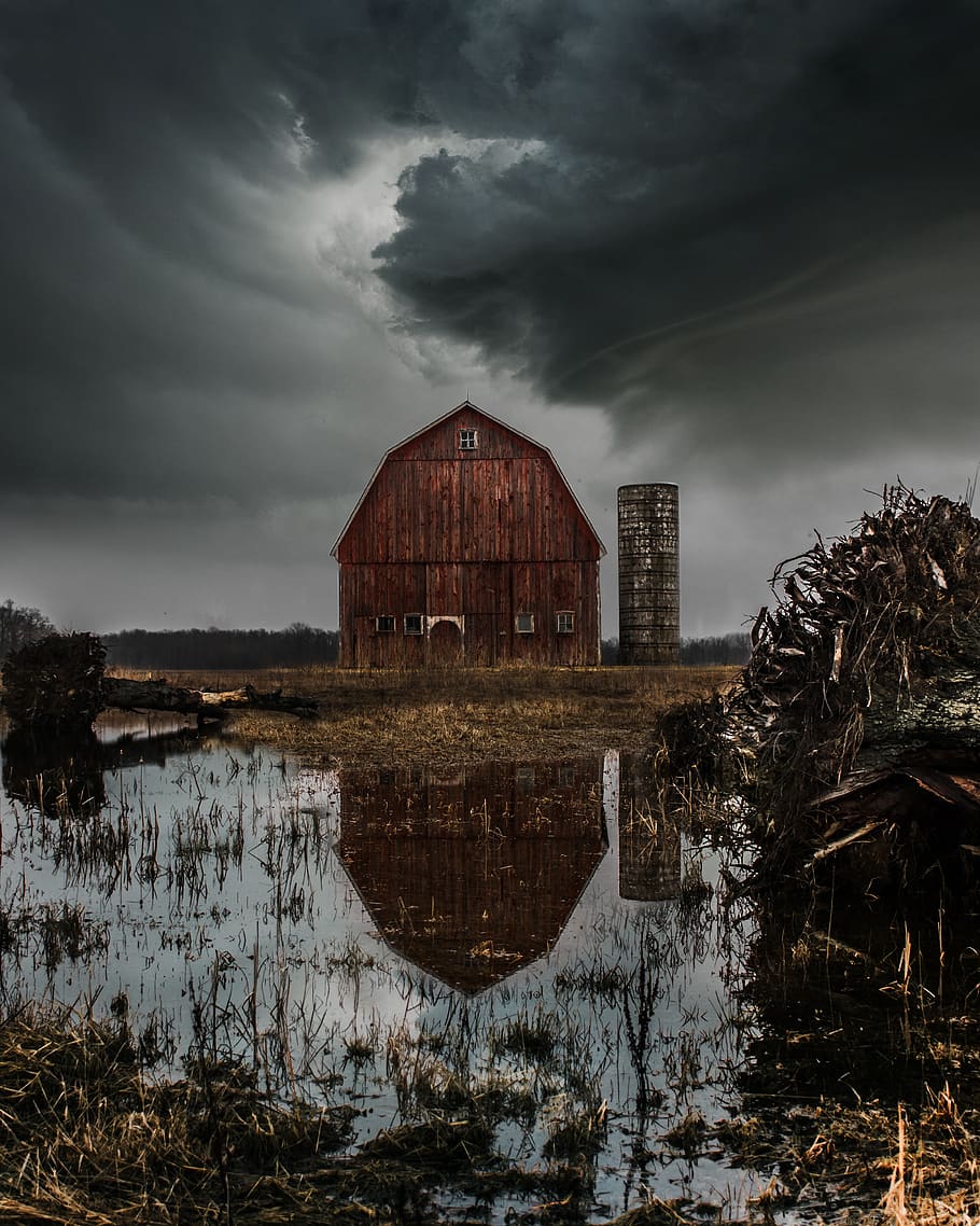 dead, trees, old, barn, landscape, farm, abandoned, crops, puddle HD wallpaper